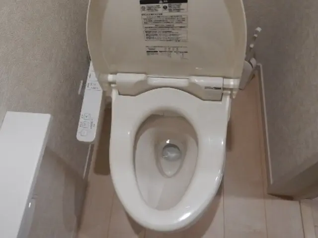 損害保険加入済◎丁寧・安心を重視！経験と知識を活かして迅速丁寧に作業いたします！サービスの画像