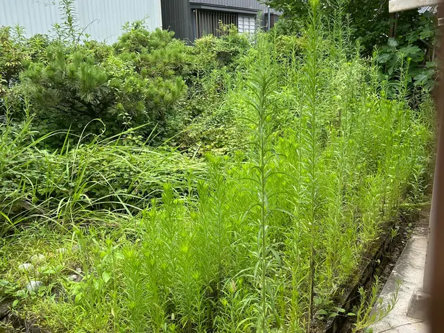 ★年中無休で対応★任せて安心！プロだからこそできる！綺麗な仕上がり！サービスの画像