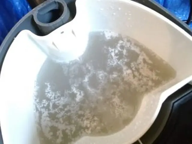 ! しみダニカビ毛玉全て無料!オーガニック洗剤ダニよけ洗剤使用２人掛からサービスの画像