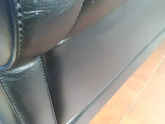 ! しみダニカビ毛玉全て無料!オーガニック洗剤ダニよけ洗剤使用２人掛からサービスの画像