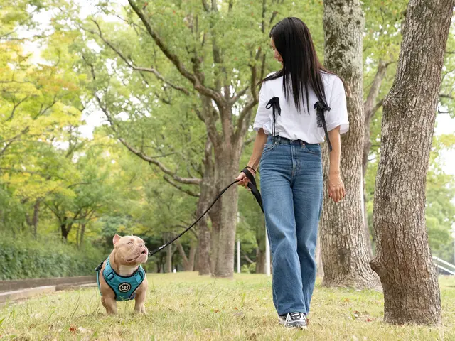 愛犬との楽しい時間を写真にのこしませんか。
