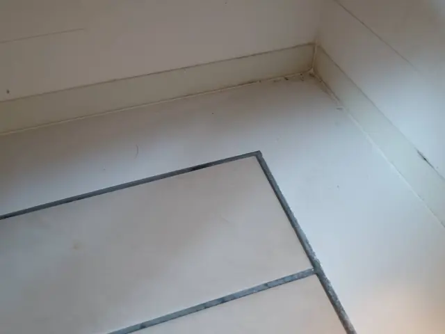 【11月出店】営業時間外・対応エリア外もご相談可能！自社スタッフによる安心の清掃サービスの画像