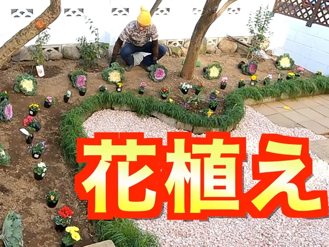 植物大好き４7歳男に『花植え』お任せ！お庭アレンジ、プランター、鉢植もOK！サービスの画像
