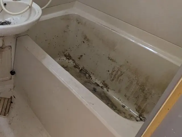 12月新出店◎個人宅◎マンション、民泊、ホテルサービスの画像