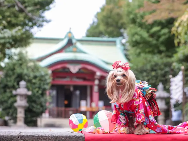 わんこ撮影のべ1000頭！四季の景色で残すペットフォト