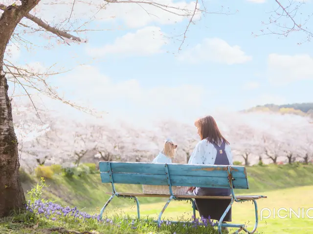 わんこ撮影のべ1000頭！四季の景色で残すペットフォト