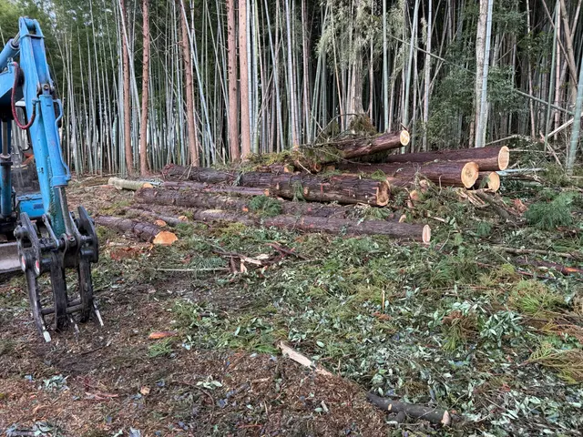 クレジットカード決済可能ですサービスの画像