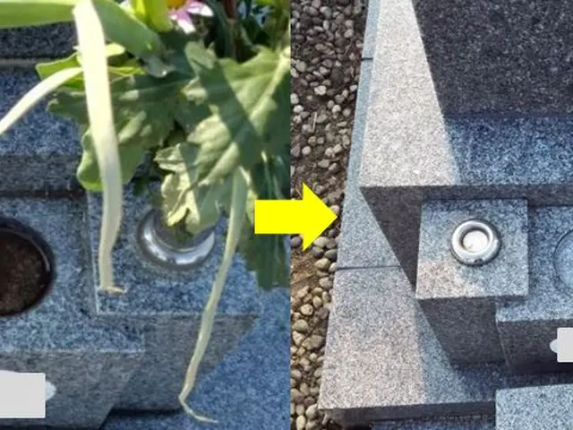 ◎経験豊富、安心、綺麗、リピ多、おまかせで大丈夫です。草取り、剪定、墓石清掃◎サービスの画像