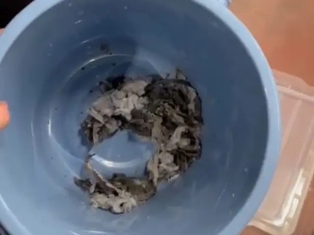 【店長がお伺いします！】損害保険加入済み◎驚きのクオリティーで汚れを一掃します！サービスの画像