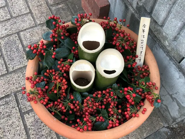 庭木の手入れ、樹木の維持作業や高さの調整に伺います。サービスの画像