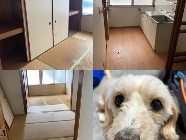 【コロナ対策万全】捨てにくい家電や粗大ごみ、何でもOK！！サービスの画像