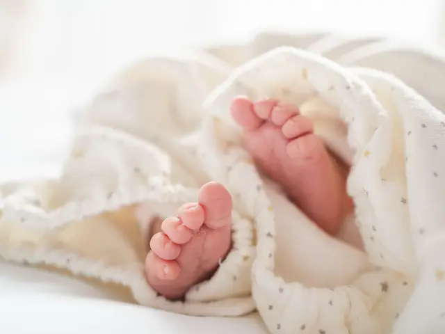 【愛おしい瞬間を形に】今だけの愛おしいサイズ感と日常を残します！