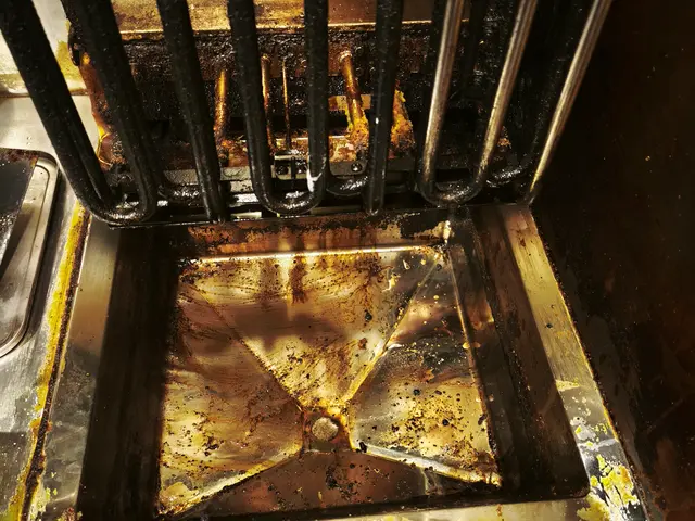 清潔なフライヤーに生まれ変わり気持ちもスッキリ！サービスの画像