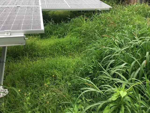 損害保険加入済みで安心◎,営業時間外・対応地域外もご相談ください！サービスの画像