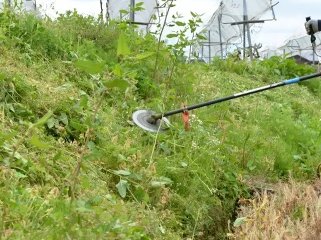 損害保険加入済みで安心◎,営業時間外・対応地域外もご相談ください！サービスの画像