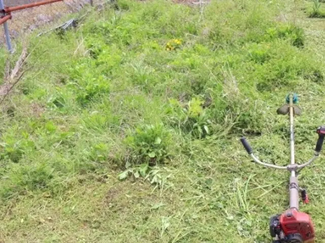 損害保険加入済みで安心◎,営業時間外・対応地域外もご相談ください！サービスの画像