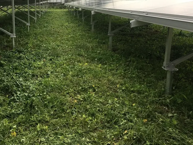 損害保険加入済みで安心◎,営業時間外・対応地域外もご相談ください！サービスの画像