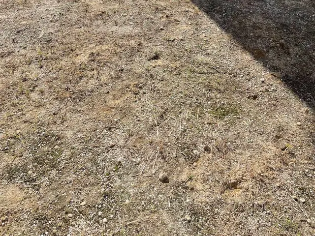 笑顔で明るくがモットー！〜お客様も一緒に笑顔になれるサービス提供〜サービスの画像