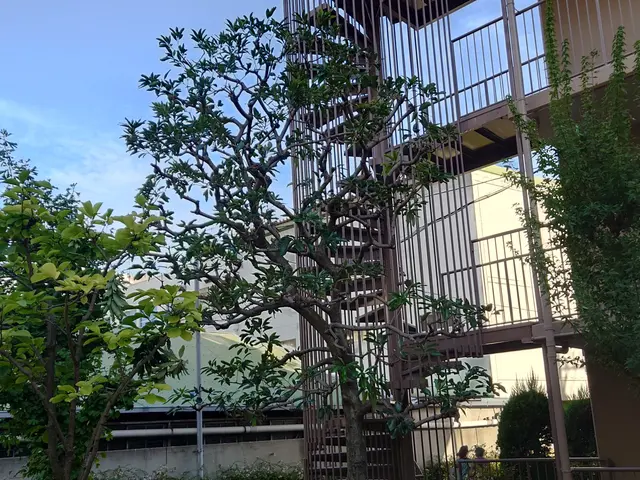 店長訪問◆駐車場負担無◆〜時季に沿った剪定をご提案致します〜サービスの画像