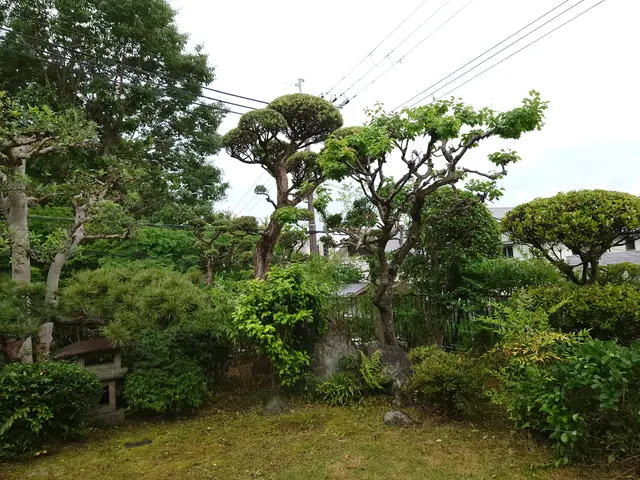 店長訪問◆駐車場負担無◆〜時季に沿った剪定をご提案致します〜サービスの画像