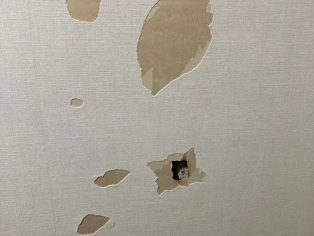 内装の「困った」を全力で解決します！サービスの画像