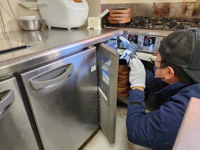 ゴキブリ駆除サービスの画像