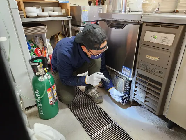 ゴキブリ駆除サービスの画像