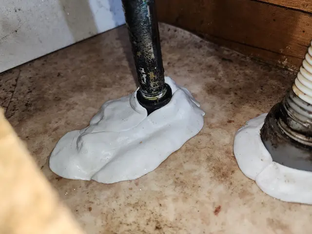 ゴキブリ駆除サービスの画像