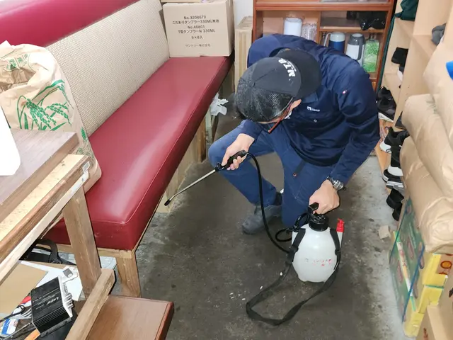 ゴキブリ駆除サービスの画像