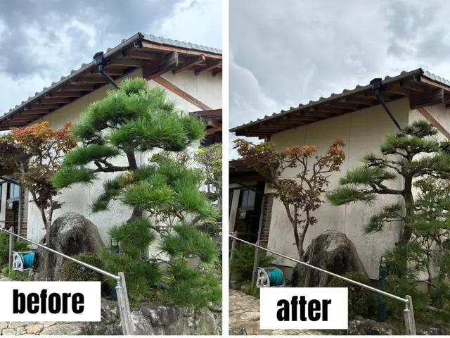 あなたの庭に添った庭づくり　造園歴15年の庭師在籍！　確かな剪定をお届けします♪サービスの画像