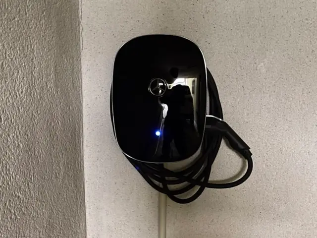 国産 外車 対応 TeslaもOK 大阪 兵庫 京都 奈良 紅葉キャンペーン中サービスの画像