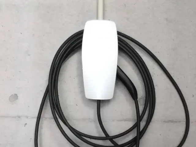 国産 外車 対応 TeslaもOK 大阪 兵庫 京都 奈良 紅葉キャンペーン中サービスの画像