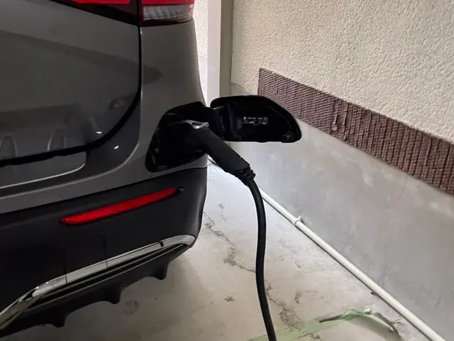 国産 外車 対応 TeslaもOK 大阪 兵庫 京都 奈良 紅葉キャンペーン中サービスの画像