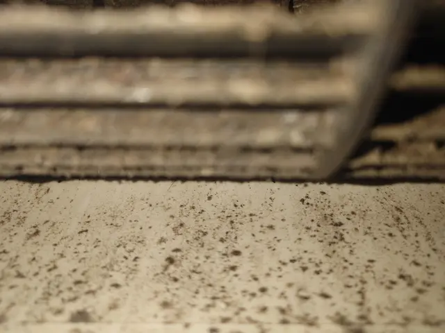 下関発！家族の健康を守る、1,000件以上の実績！丁寧で安心な清掃サービスの画像