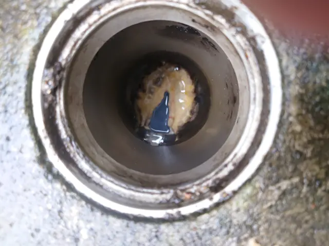 テナント、店舗の排水管洗浄サービスの画像