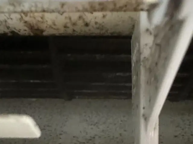 エアコン業界２０年以上の経験。都内・川崎横浜市エアコンクリーニングサービスの画像