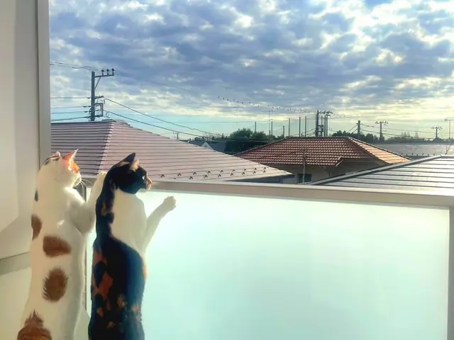 ★不安を安心に★即日お返事★大切なご家族を店長の私が責任を持ってお世話いたしますサービスの画像