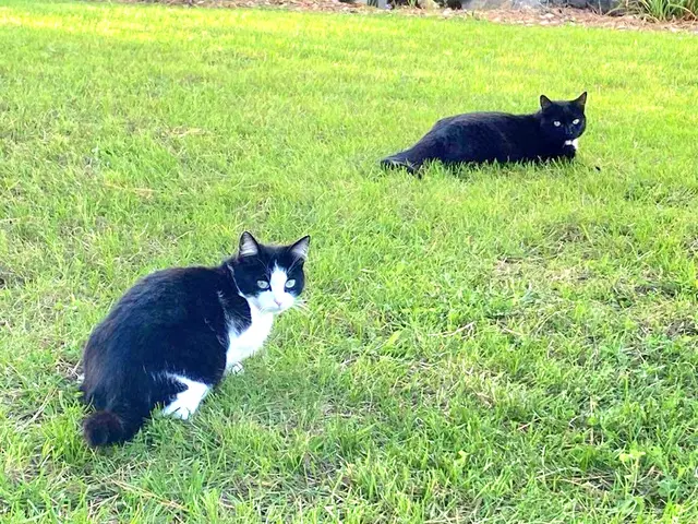 ★不安を安心に★即日お返事★大切なご家族を店長の私が責任を持ってお世話いたしますサービスの画像