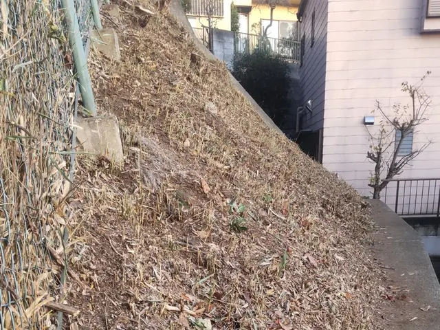 草刈り（草刈り機）サービスの画像