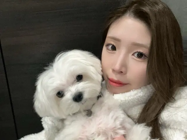 慣れた場所だからこその安心感♫出張型トリミング！パピー〜シニアまで対応可◎サービスの画像