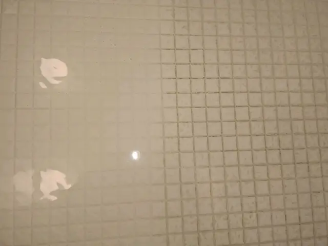 マンションタイプの空室クリーニング!経験豊富なスタッフがお伺いいたします。サービスの画像