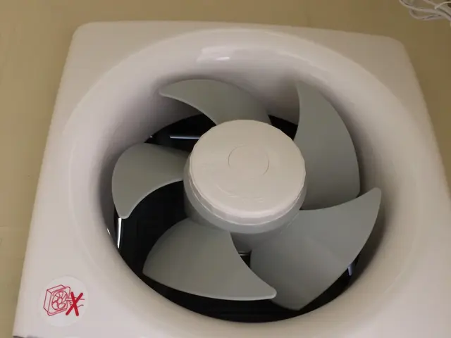 プロペラタイプの換気扇をピカピカ綺麗に致します！サービスの画像