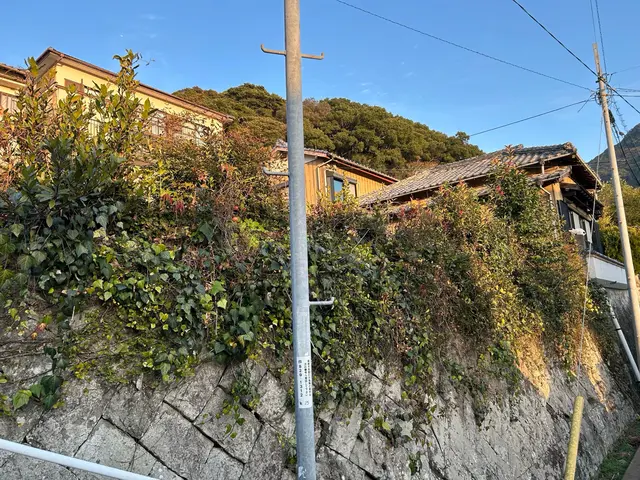 【草むしり】職人歴15年の実績◎迅速丁寧に仕上げますサービスの画像