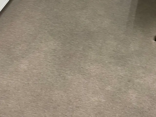 水で丸洗いできないカーペットを専用機材で水丸洗いを行います！スッキリ清潔に！サービスの画像