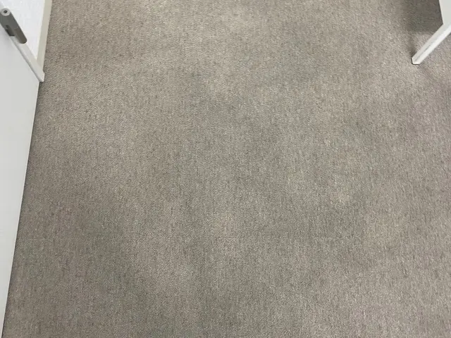 水で丸洗いできないカーペットを専用機材で水丸洗いを行います！スッキリ清潔に！サービスの画像