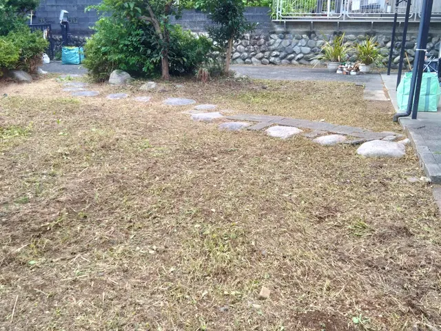 雑草でお困りのお庭や空き地及び駐車場など丁寧にきれいに致します。サービスの画像