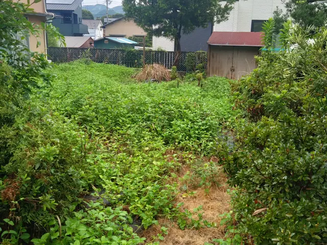 雑草でお困りのお庭や空き地及び駐車場など丁寧にきれいに致します。サービスの画像