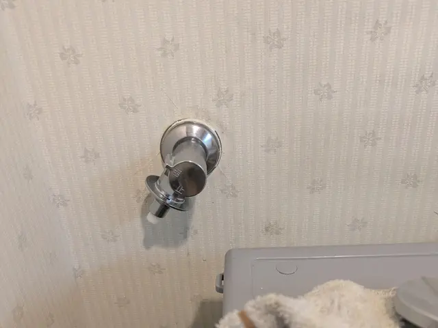 【4月新店オープン記念価格】GW営業します!!/店舗、一般家庭OKサービスの画像