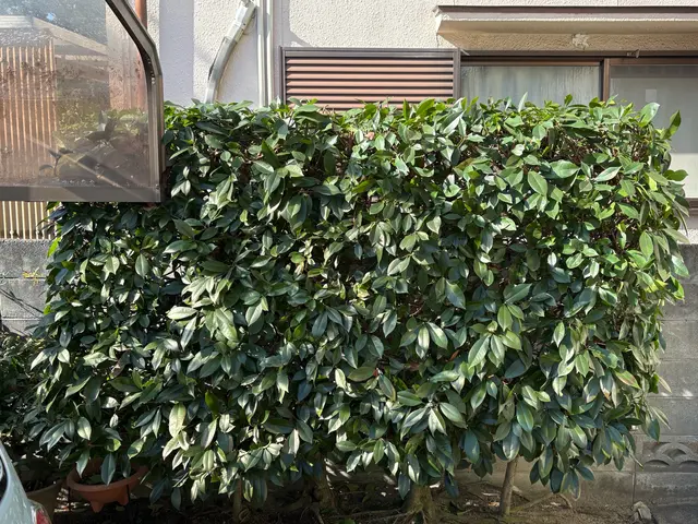 作業外注一切なし、要望確認から仕上げ・清掃まで責任を持って対応いたしますサービスの画像