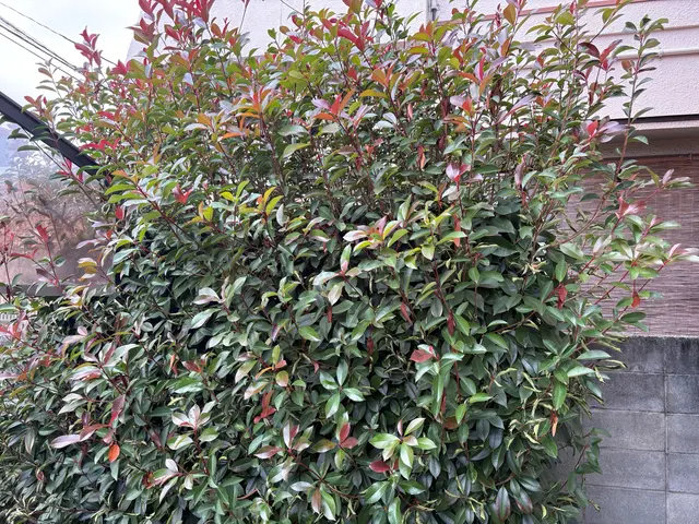 作業外注一切なし、要望確認から仕上げ・清掃まで責任を持って対応いたしますサービスの画像